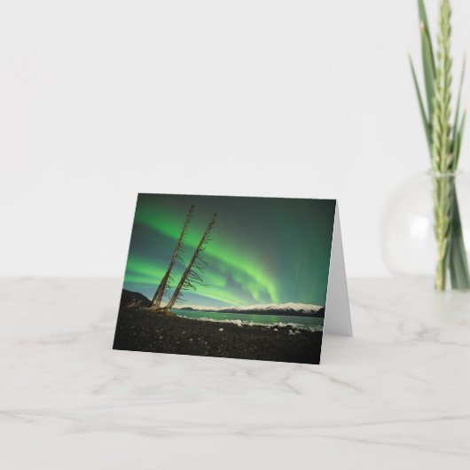 Leaning Tree Aurora Karte (Vorderseite)