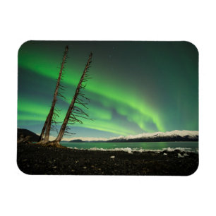 Leaning Tree Aurora Magnet