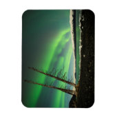 Leaning Tree Aurora Magnet (Vertikal)