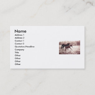 Leap for Joy Foal and Mare Visitenkarte