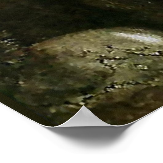 "Leap the Elk" Wasserfarbe von John Bauer Poster (Ecke)