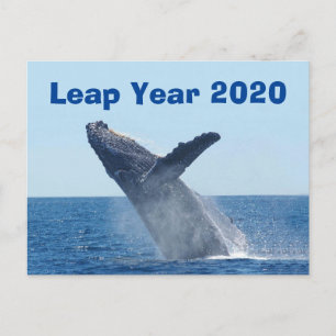 Leap Year 2020 Postkarte