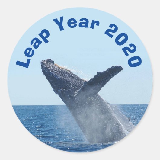 Leap Year 2020 Runder Aufkleber (Vorderseite)