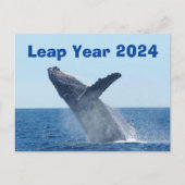 Leap Year 2024 Postkarte (Vorderseite)