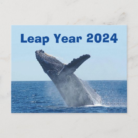 Leap Year 2024 Postkarte (Vorderseite)
