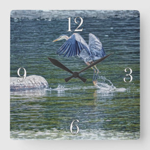 Leaping Great Blue Heron Wildlife Bird Foto 5 Quadratische Wanduhr