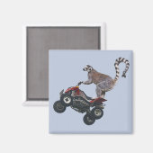 Leaping Lemur Magnet (Vorderseite/Rückseite)