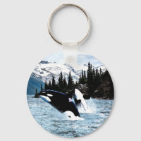 Leaping Orca
