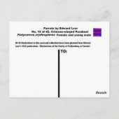 Lear. Der geplagte Paraket. Weibliche und junge Mä Postkarte (Rückseite)