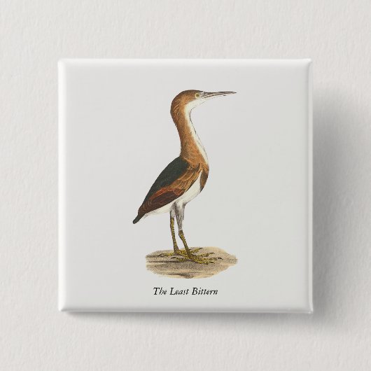 Least Bittern (Ixobrychus exilis) New York Birds Button (Vorderseite)