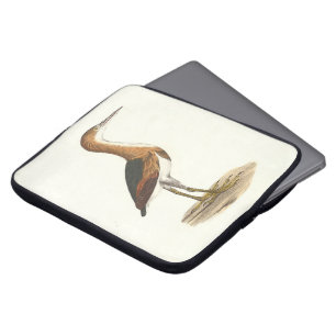 Least Bittern (Ixobrychus exilis) New York Birds Laptopschutzhülle