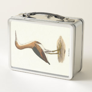 Least Bittern (Ixobrychus exilis) New York Birds Metall Brotdose