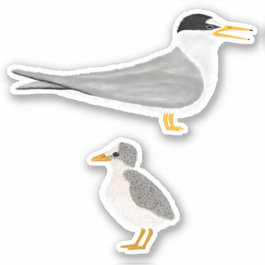 Least Tern mit seinem Kick Aufkleber (Vorderseite)