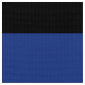 Leather Eagle Pride Flag Stoff (Nahaufnahme)