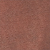 Leather Tiny 2" x 2" Aufkleber (Vorderseite)
