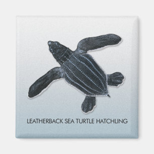 Leatherback-Meeresschildkrötehatchlings-Magnet Magnet