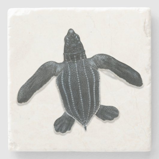Leatherback-Seeschildkröte-Stein-Untersetzer Steinuntersetzer (Vorderseite)