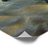 Leatherneck Sea Turtle Print Poster (Ecke)