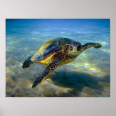 Leatherneck Sea Turtle Print Poster (Vorne)