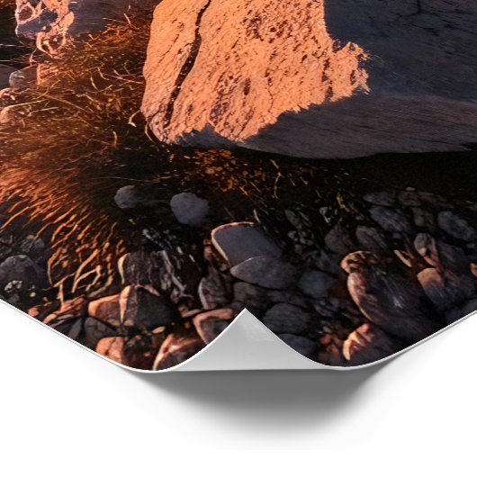 Leave Nothing But Footprints Poster (Ecke)