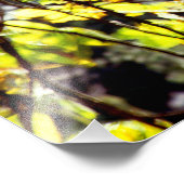 Leaves Blowing im Wind Fotodruck (Ecke)