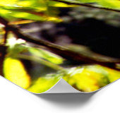 Leaves Blowing im Wind Poster (Ecke)
