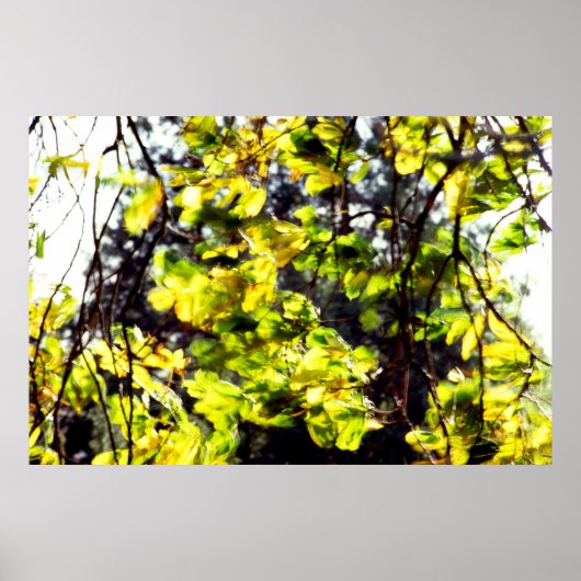 Leaves Blowing im Wind Poster (Vorne)