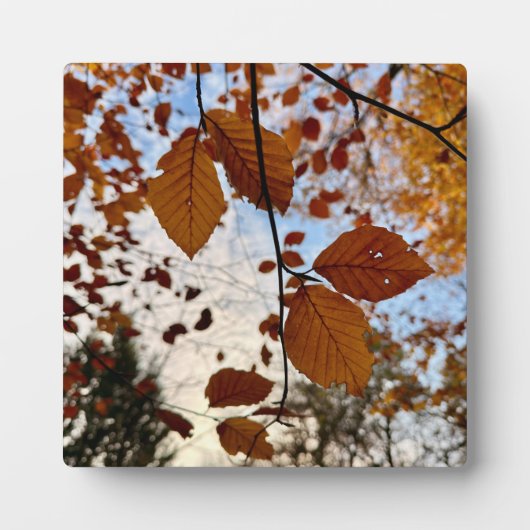 Leaves Fotoplatte (Vorderseite)