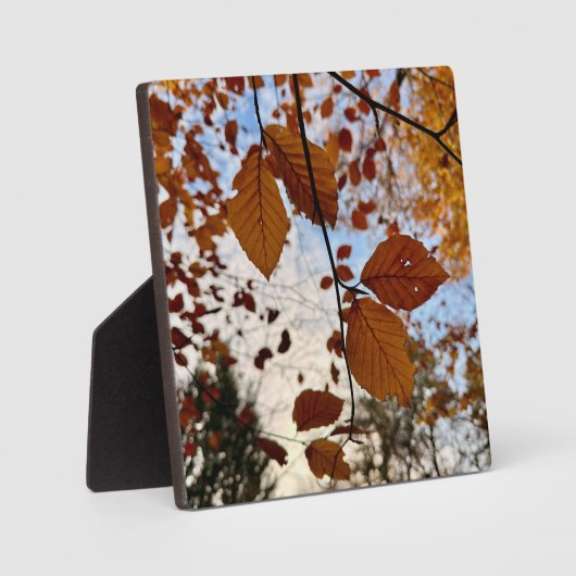 Leaves Fotoplatte (Vorderseite)