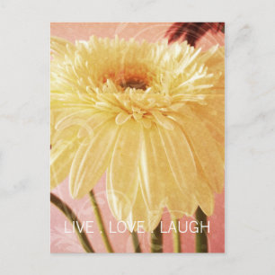 Lebe Liebe Lache Gerbera-Blumen-Licht-Grunge Postkarte