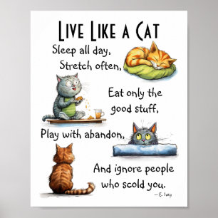 Lebe wie eine Katze Humorvolle Cartoon-Wandkunst  Poster