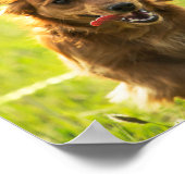 "Lebe wie jemand, der das Tor offen Verlassen hat" Poster (Ecke)