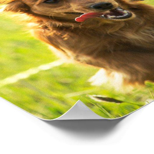 "Lebe wie jemand, der das Tor offen Verlassen hat" Poster (Ecke)