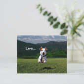 "Lebe wie jemand, der das Tor offen Verlassen hat" Postkarte (Stehend Vorderseite)