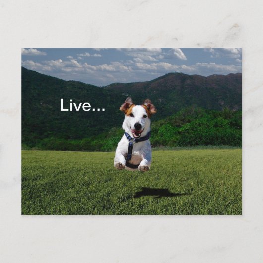 "Lebe wie jemand, der das Tor offen Verlassen hat" Postkarte (Vorderseite)