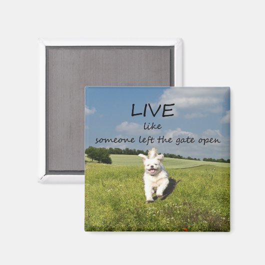 "Lebe wie jemand, der das Tor öffnet" Magnet (Vorderseite/Rückseite)