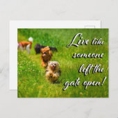 Lebe wie jemand Verlassen das Tor offen! Postkarte (Vorne/Hinten)