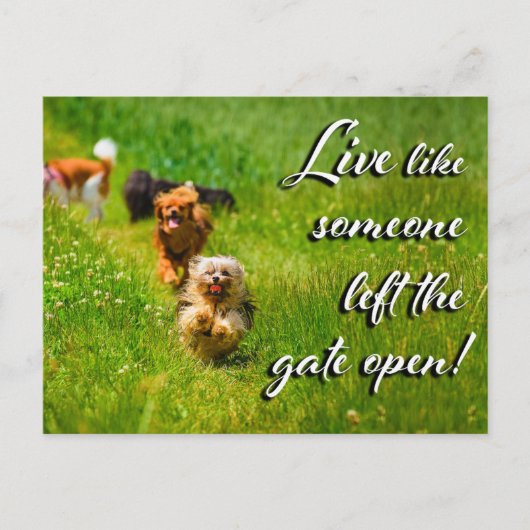 Lebe wie jemand Verlassen das Tor offen! Postkarte (Vorderseite)