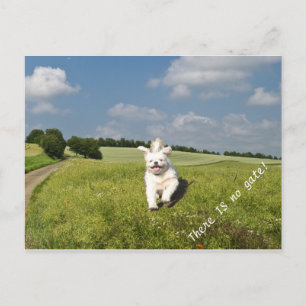 "Lebe wie..." Postcard Buddhist (Matrix) Version! Postkarte