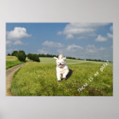 "Lebe wie..." Poster - Buddhistische (Matrix) Vers (Vorne)