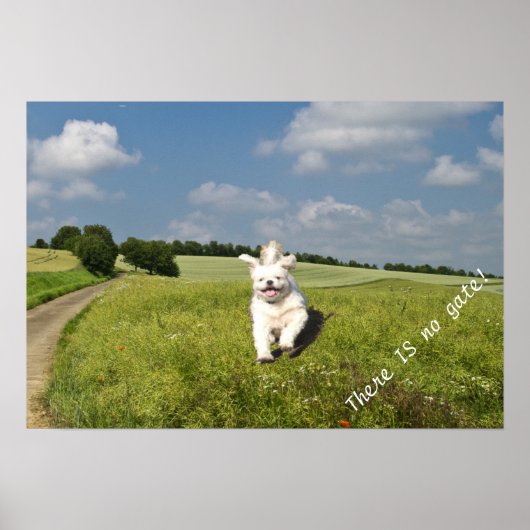 "Lebe wie..." Poster - Buddhistische (Matrix) Vers (Vorne)