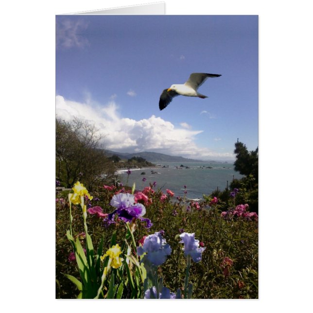 Leben an den Küsten (Vorne)