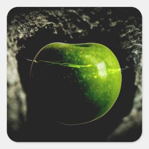Leben auf dem Apfel Quadratischer Aufkleber