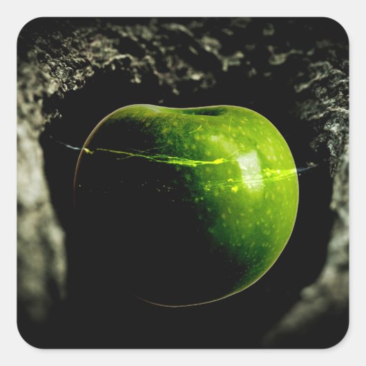 Leben auf dem Apfel Quadratischer Aufkleber (Vorderseite)