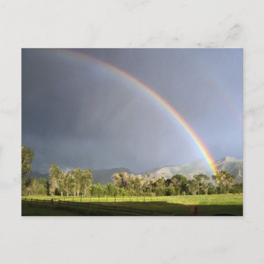 Leben auf der Blackman Ranch Postkarte (Vorderseite)