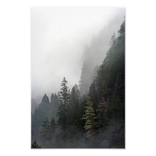 Leben auf der Kante. Fotodruck (Vorne)