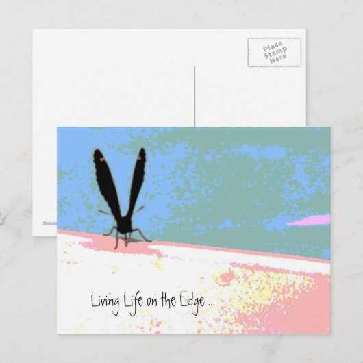 Leben auf der Postkarte (Vorne/Hinten)