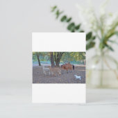 Leben auf der Ranch Postkarte (Stehend Vorderseite)