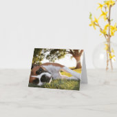 Leben, das auch Ihren Schwanz tritt? Karte (Gelbe Blume)