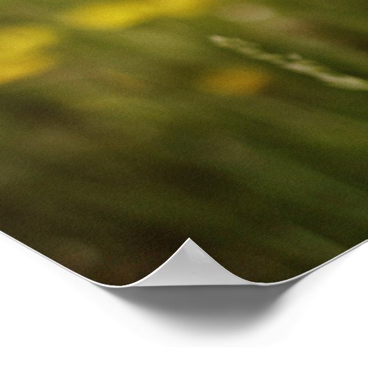 Leben durch ein positives Linsenplakat Poster (Ecke)